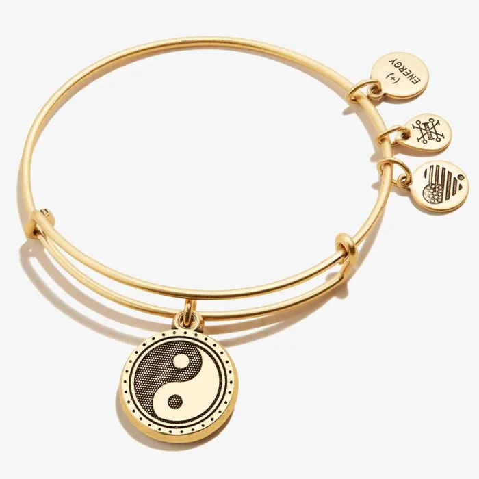Iconic Women Alex And Ani Yin Yang Charm Bangle Rafaelian Silver