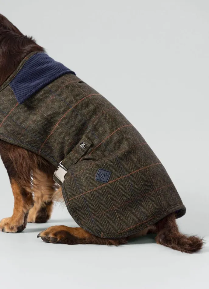 Men Hackett X Hugo and Hudson Hackett London Checked Jacket For Dogs 8211 Small Green