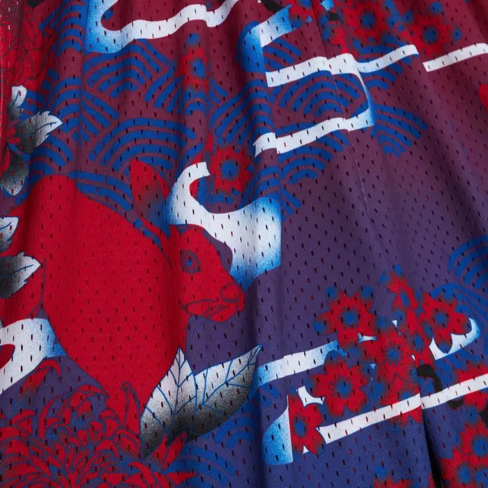 Mitchell and Ness Asian Heritage Swingman Philadelphia 76ers 1998 Shorts 50 Men Shorts Mitchell and Ness Asian Heritage Swingman Philadelphia 76ers 1998 Shorts 50 Men Shorts