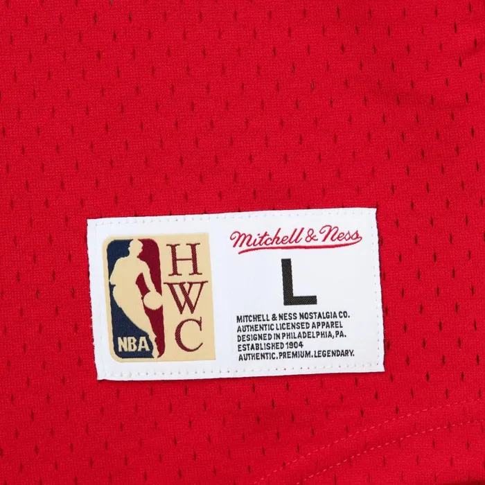 Mitchell and Ness Fashion Mesh VNeck Vintage Logo Toronto Raptors Men TShirts and Tops Mitchell and Ness Fashion Mesh VNeck Vintage Logo Toronto Raptors Men TShirts and Tops