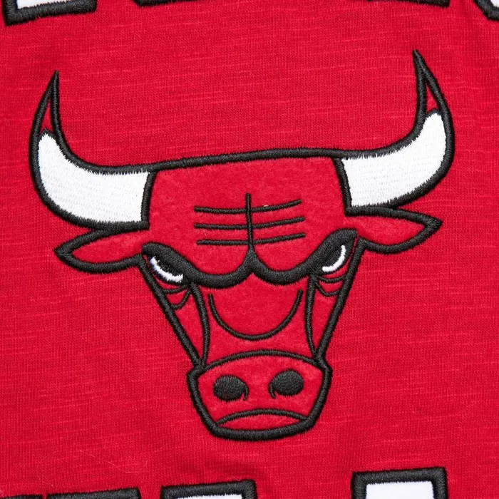 Mitchell and Ness Legendary Slub SS Tee Vintage Logo Chicago Bulls Men TShirts and Tops Mitchell and Ness Legendary Slub SS Tee Vintage Logo Chicago Bulls Men TShirts and Tops