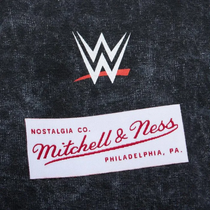 Mitchell and Ness Master Of Pain Tee Undertaker Men TShirts and Tops Mitchell and Ness Master Of Pain Tee Undertaker Men TShirts and Tops