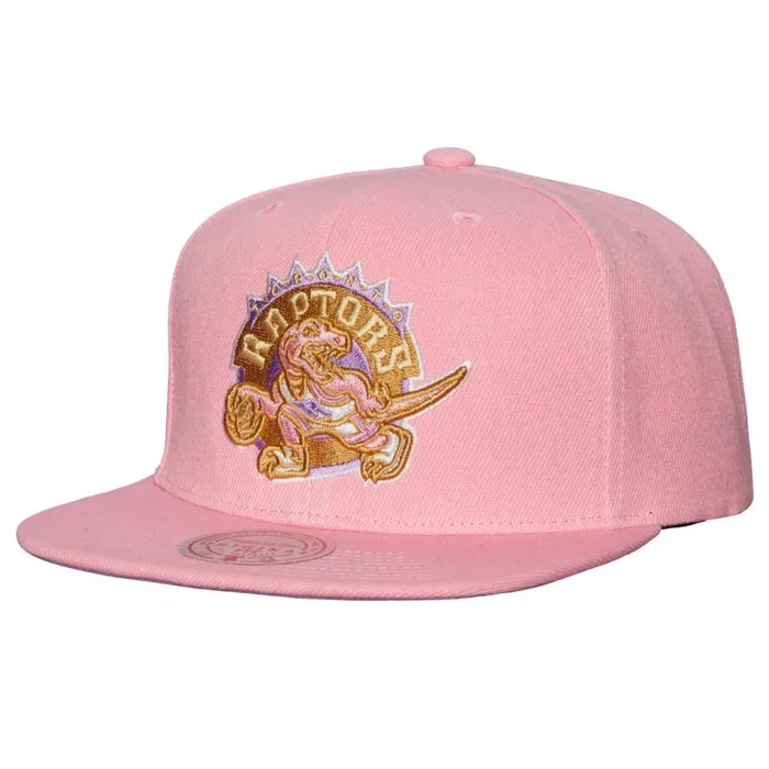 Mitchell and Ness Pastel Snapback HWC Toronto Raptors Men Hats and Headwear