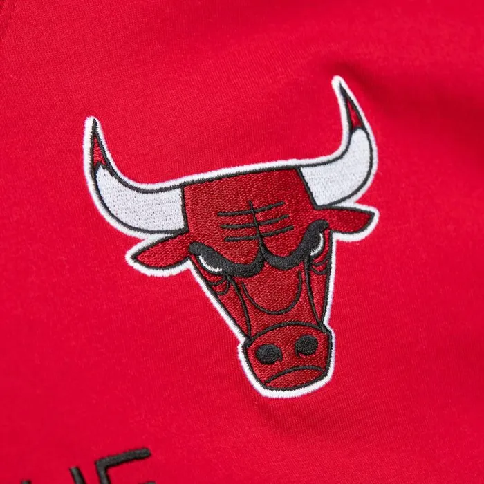 Mitchell and Ness Premium Nickname SS Tee Vintage Logo Chicago Bulls Dennis Rodman Men TShirts and Tops Mitchell and Ness Premium Nickname SS Tee Vintage Logo Chicago Bulls Dennis Rodman Men TShirts and Tops