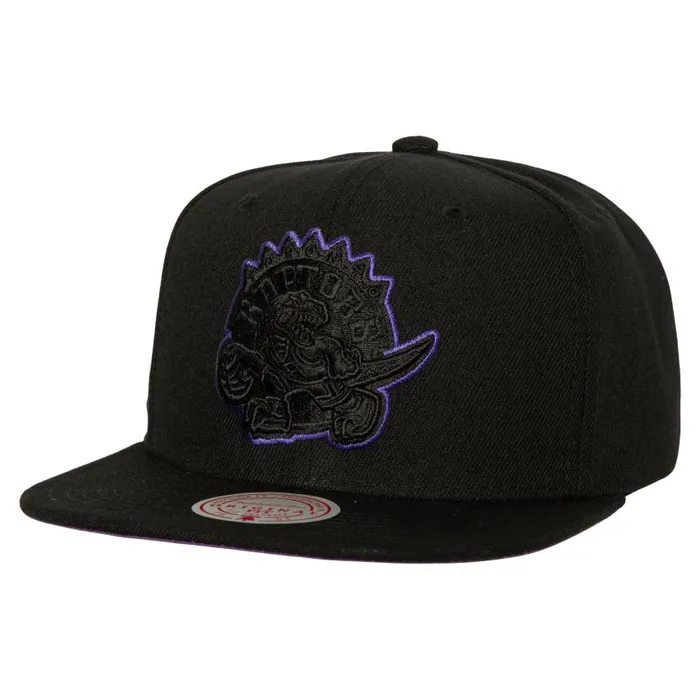Mitchell and Ness TC Bottoms Snapback HWC Toronto Raptors Men Hats and Headwear Mitchell and Ness TC Bottoms Snapback HWC Toronto Raptors Men Hats and Headwear