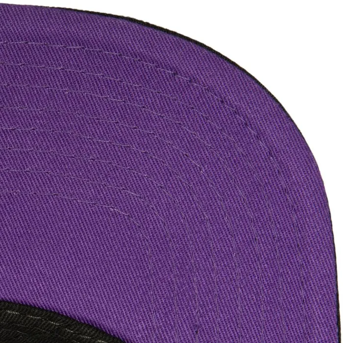 Mitchell and Ness TC Bottoms Snapback HWC Toronto Raptors Men Hats and Headwear Mitchell and Ness TC Bottoms Snapback HWC Toronto Raptors Men Hats and Headwear