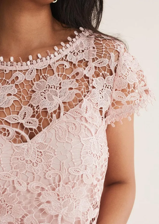 Phase Eight Dresses Petite Michelle Lace Pleated Maxi Dress Antique Rose 8211 Women Phase Eight Dresses Petite Michelle Lace Pleated Maxi Dress Antique Rose 8211 Women