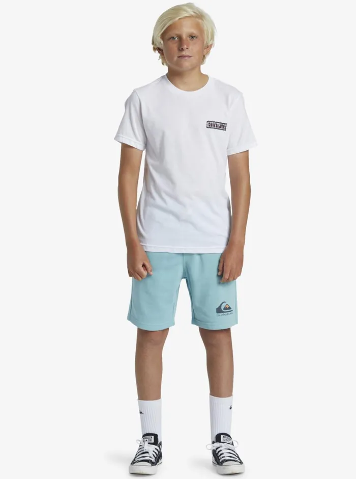 Quiksilver 816 Marooned TShirt White Boys Tees Quiksilver 816 Marooned TShirt White Boys Tees