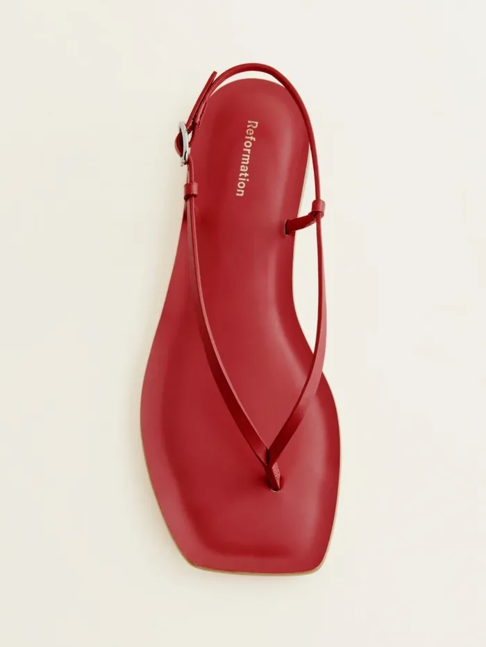 Reformation Sandals Vincenza Thong Sandal Lipstick Leather 8211 Women Reformation Sandals Vincenza Thong Sandal Lipstick Leather 8211 Women
