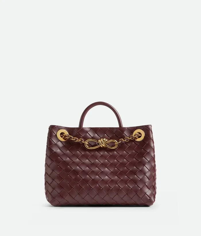 Women Bottega Veneta Crossbody Small Andiamo Chain Madder Brown