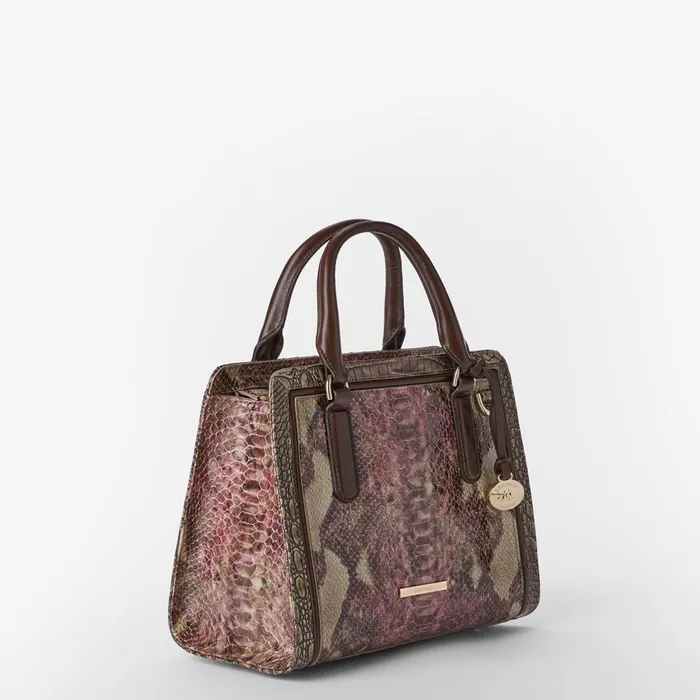 Women Brahmin Satchels Cami Brindle Potomac Women Brahmin Satchels Cami Brindle Potomac